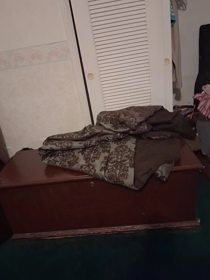 Cofre grande antiguo de cedro Hope Foto 1 de 1