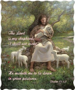The Lord Is My Shepherd Psalm 23:1,2 Religious Licensed Quilted Throw 50x60 in - Picture 1 of 5