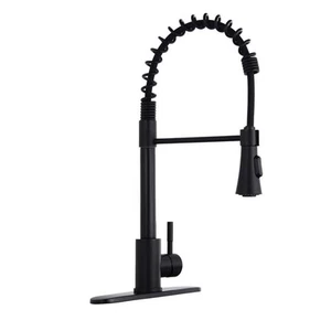 Miscool Abliy Single Handle Standard Kitchen Faucet in Matte Black - Picture 1 of 4
