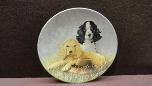 1992 Edwin Knowles China Co. Cocker Spaniel Dod Puppies  Hat Trick Plate - Picture 1 of 5