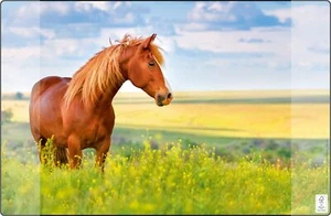 Sous-main - Antidérapant - Motif cheval - 38 x 58 cm - Avec deux poches - Pou... - Photo 1/3