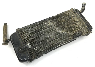 Radiador de refrigeración izquierdo 89 Yamaha YZ250 YZ 250 OEM Foto 1 de 4