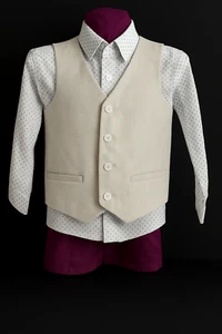 2 Pc Boys Shirt And Vest Sets Lot of 3  3T and 4T - Picture 1 of 21