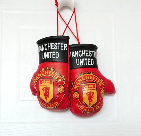 Mini Boxing Gloves Car Visor Accessory Soccer Sports Country Specific 10 Choices Cover