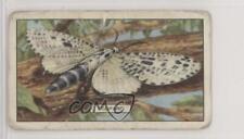 1938 Gallaher Butterflies and Moths Tobacco Leopard #4 1i3