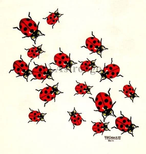 LADYBUGS--Beetles Bugs Insects Science Nature 2 sided Kids T shirt XS (2-4) - Picture 1 of 3