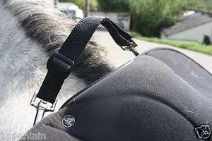 adjustable training HANDLE to improve balance. Balancing aid. horse/pony colours - Picture 1 of 65