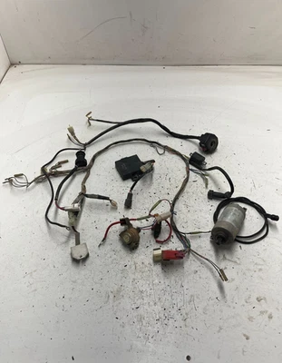 Yamaha Breeze 125 YFA1L 99 OEM ¡BUENO! Arnés de cableado cables de telar ECU CDI estrella de bobina Foto 1 de 4