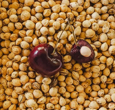 EDEL LIVING Kirschkerne Lose für Kirschkernkissen Wärmekissen Gereinigt Kirschsteine1kg-10kg