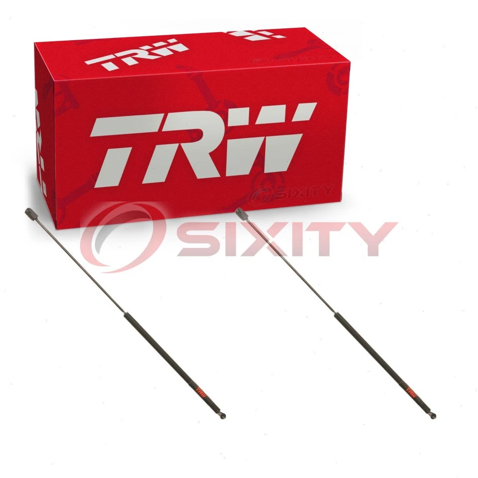 2 pc TRW Back Glass Lift Supports for 1996-2001 Oldsmobile Bravada 4.3L V6 cm - Image 1 of 4