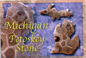 The Petoskey Stone, Michigan's State Stone Postcard - Picture 1 of 2