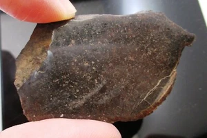 Rebanada de meteorito Davy (a) - 32,1 gramos - L4 - Ex. Granjero - Texas - Imagen 1 de 7