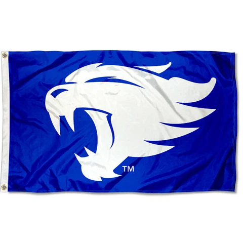 Kentucky Wildcats New Wildcat Logo Flag and 3x5 Banner Cover