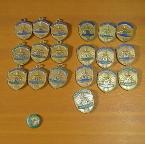 Lote de prendedores y colgantes de premio Safe Driver del Consejo Nacional de Seguridad - Imagen 1 de 5