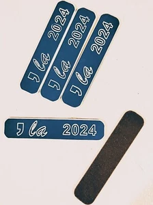 Comma LA 2024! Kamala Harris Nail File - Picture 1 of 1