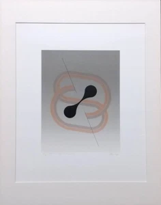 Naomi Okuya " Hommage a Picabia " 1983 Silkscreen Print Autograph - Picture 1 of 10