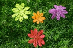 Prima Flower - Bali Batiks #526344 - Lace Paper Flowers 1.75" - 3" 12/pk - Bild 1 von 1