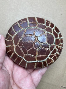 400g bellissima pietra naturale modello posteriore tartaruga pietra Moire pietra paesaggio - Foto 1 di 24