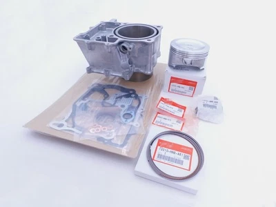 KIT HONDA GAMA ALTA CON CILINDRO 14-2021 PIONEER 700/06-2022 RINCON 680 OEM NUEVO Foto 1 de 3
