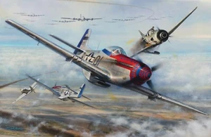 Gunfighters of the Eighth by John Shaw aviation art signed by Seven Mustang Aces - Picture 1 of 2