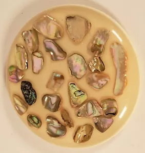 Lucite Acrylic Abalone Shell Trivet Hotplate Seashell Vintage READ 8.5" A56 - Picture 1 of 6