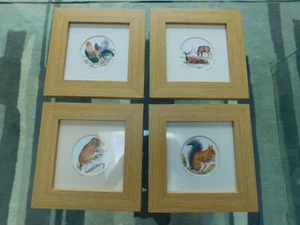 Lovely Selection of Framed Prints of Animals / Birds Signed by Jacqui Chilcott - Picture 1 of 9