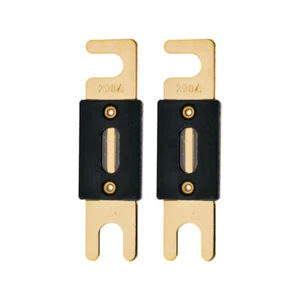The Wires Zone hochwertige vergoldete 250A Amp ANL Sicherung (2er Pack) - Bild 1 von 1