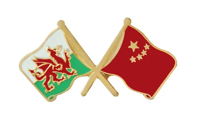 China Flag & Wales Flag Friendship Courtesy Pin Badge - Image 1 of 3