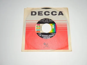 PEPPERMINT RAINBOW " WILL YOU BE STAYING AFTER SUNDAY" 45 DECCA 1968 - Picture 1 of 5