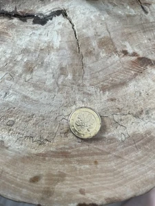 1 Cent Münze in Gold , F , 2002 - Bild 1 von 2