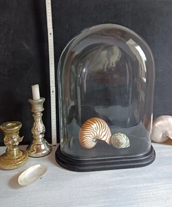 XXL- Glashaube / Glasdom / Glassturz / Uhrenvitrine / Glass Display / Globe - Bild 1 von 8