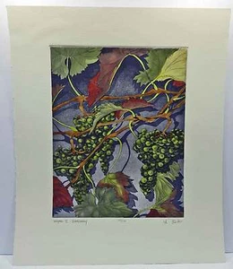 Vineyard 2 Chardonnay by Anne Belov Hand Colored Etching Wine Grapes Artwork - Picture 1 of 12
