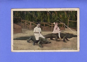 Two Children Riding Alligators In Florida @ 1915-20 - Picture 1 of 2