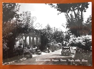 Cartolina Salsomaggiore - Poggio Diana Viale delle Rose - 1955 - Picture 1 of 2