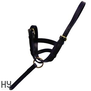 Leather Foal Slip by Hy Equestrian Ideal for Show Ring and Everyday Use Easy Fit