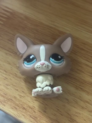 Perro Corgi Littlest Pet Shop. Marrón y crema con ojos turquesa. LPS Corgi.2010 Foto 1 de 2