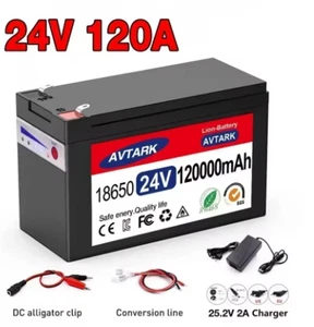 New 24V 120Ah Electric Vehicle Battery Pack 120Ah Built-in BMS Battery - Picture 1 of 13