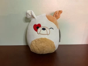 NUEVO CON ETIQUETAS 8" Original Squishmallow Brock the Bulldog - Imagen 1 de 4