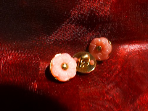 Bild 1 von 2