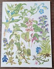 9 Vintage Botanical Prints, Natural History Art, Book Plate, nature lithograph