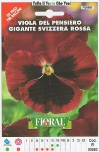 VIOLA GIGANTE SVIZZERA ROSSA- DA VASO PER BALCONE-FLORAL - BUSTA SEMENTI - Picture 1 of 1