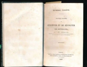 Sucrerie indigène. Nouvelle manière de cultiver et récolter le - Picture 1 of 1