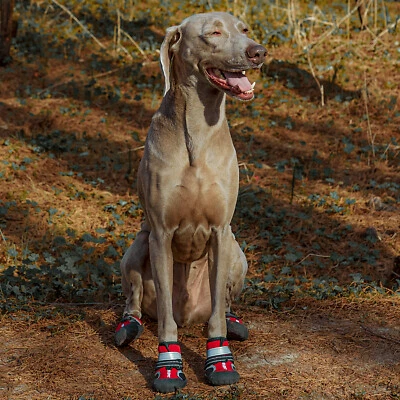 4 Piezas Zapatos Mascotas Perros Exterior Suave Reflectante Tira Antideslizante Protector de Pata Foto 1 de 4