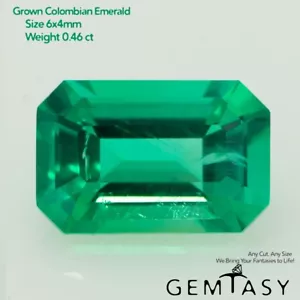 Cut stone - Emerald Colombian hydrothermal lab grown, Octagon 6x4mm 0.40-0.46ct - Picture 1 of 5