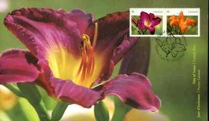 Canada - FDC - 2529-2530 - Daylilies - 2012 - Picture 1 of 1