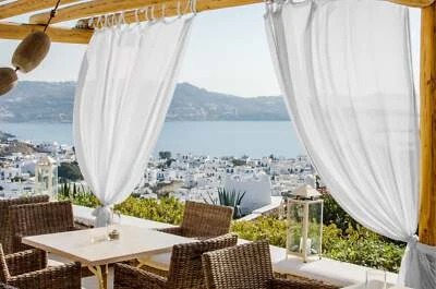 RANS Voile Curtains 2x3m 100% Cotton - image 1 of 2