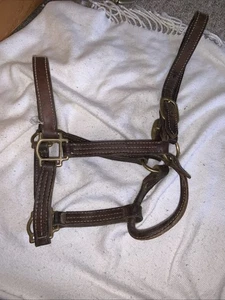 Großes Pferdeleder Schienenhalfter komplett vernäht guter Zustand Messingbeschläge - Bild 1 von 5