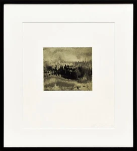 Lápiz de grabado original Anish Kapoor firmado numerado enmarcado ED30 Jacob ... - Imagen 1 de 9