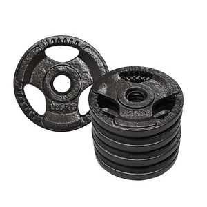 1.25kg x 8 - Standard 26.5mm Triple Handle Hammertone Cast Iron Weight Plate - Picture 1 of 3