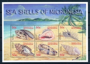 LS56679 Micronesia seashells conks sealife good sheet MNH - Picture 1 of 1